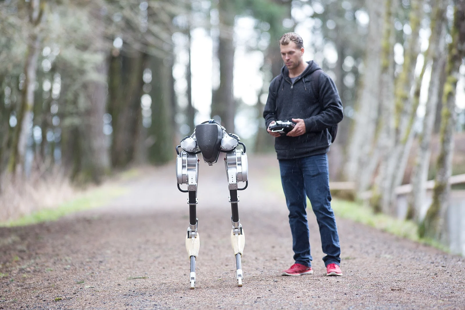 Cassie bipedal robot walking on a forest trail next to its operator