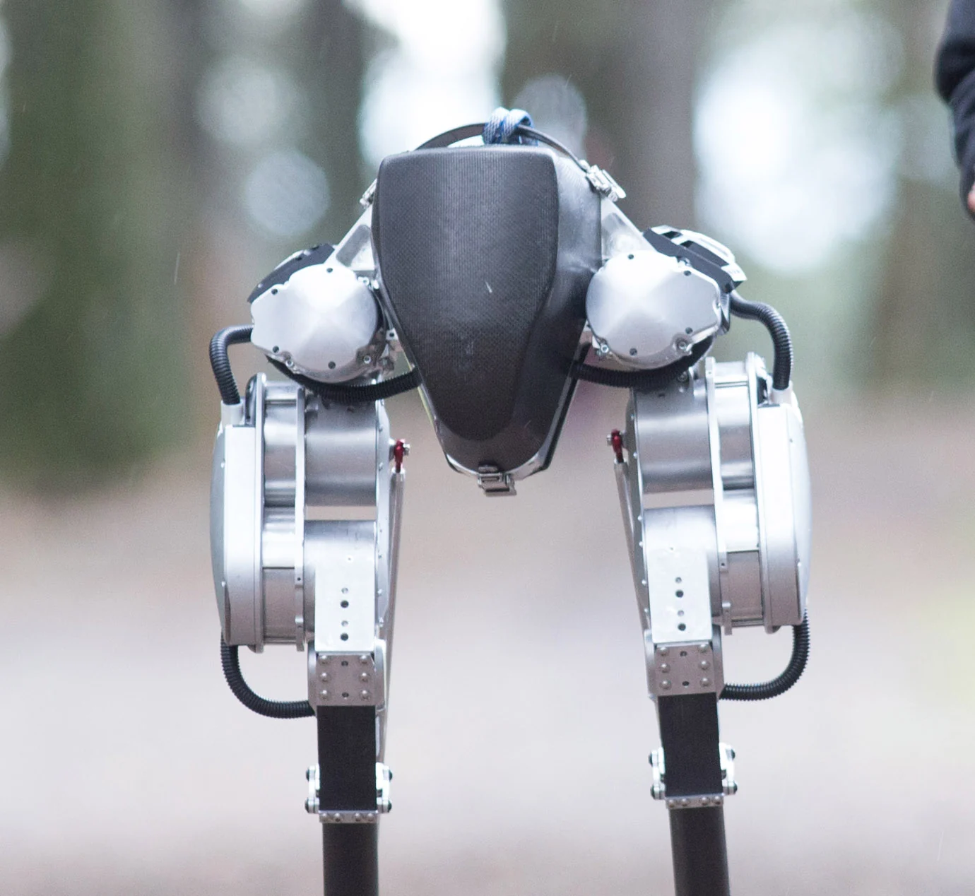 Cassie bipedal robot, front view of pelvis and legs, outdoors