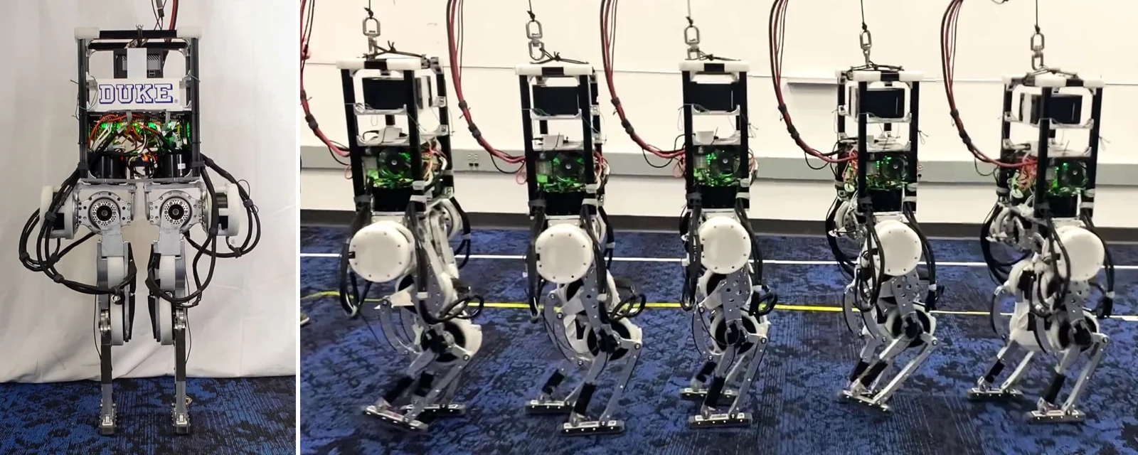 Duke Humanoid v1 legs, photo sequence of a walking gait