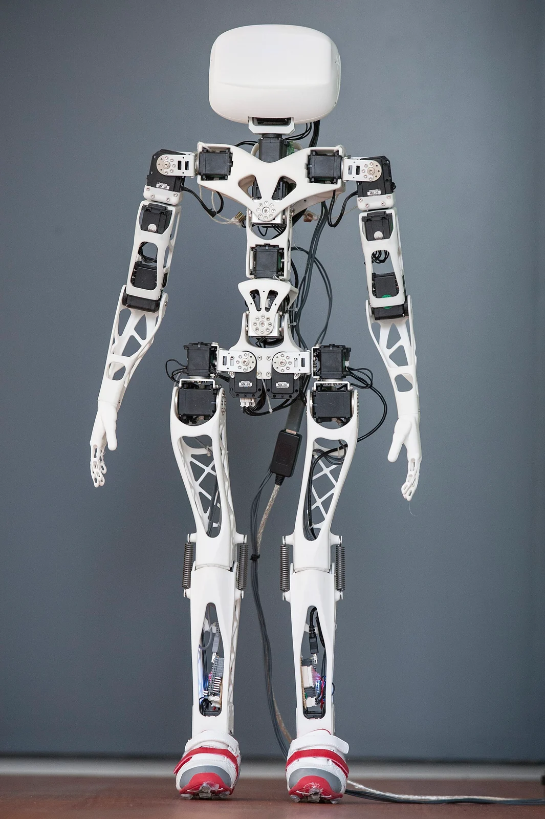 Poppy Humanoid 3D-printed robot standing, full body